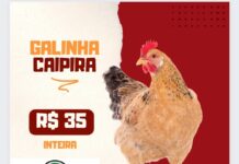 Mercadão Uniforça de Joaquim Pires continua com grandes promoções e muitas novidades