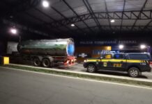 Em Piripiri-PI, caminhoneiro é autuado pela PRF por crime ambiental