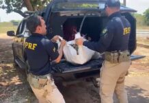 PRF e ADAPI apreendem mais de 1 tonelada de animais e organismos de origem marinha transportados ilegalmente em Parnaíba (PI)