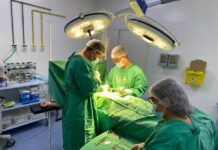 Hospital de Esperantina zera a fila de cirurgias eletivas pelo programa “Saúde em Dia”
