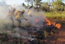 Governo do Piauí intensifica ações para o combate a queimadas nos municípios