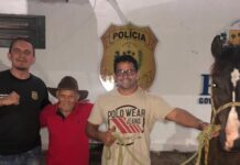 Cavalo de 12 mil reais, roubado em março é recuperado em ação policial na cidade de Matias Olímpio