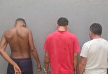 Operacão Shamar: homens são presos em Esperantina por crime de violência contra a mulher