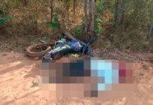 Motociclista de 28 anos morre após colidir contra árvore em Milton Brandão