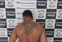 Policia de Luzilândia em Ação Conjunta cumpre mandato e prende homem com espingarda na zona rural