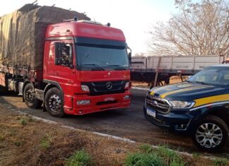 PRF apreende carga ilegal de quase 22m³ de madeira em Batalha (PI)