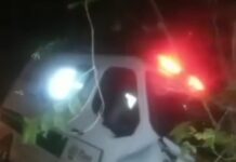 Animal na Pista causa acidente com ambulância de Luzilândia
