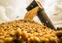 Exportações do Piauí alcançam a marca de R$ 6,8 bilhões no mês de outubro