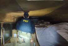 Em Campo Maior, PRF apreende mais de 700 quilos de peixes e derivados de pesca transportados ilegalmente