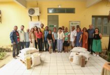 SAF entrega mais de duas toneladas de sementes de milho e feijão para agricultores de 11 municípios do Piauí