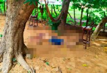 Homem é morto a tiros em casa abandonada em Pedro II