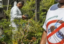 Brasil registra mais de 2 milhões de casos de dengue