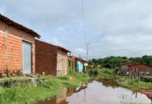 Rio Marataoã atinge cota de 4,32m em alerta de inundação e alagamento em Barras-PI
