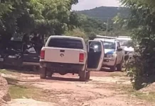 Polícia prende suspeito de homicídios após grande operação em Pedro II; houve troca de tiros