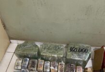 Polícia Civil prende homem suspeito de tráfico de drogas e apreende grande quantia em dinheiro na cidade de Piracuruca