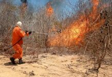 Semarh capacita 53 brigadistas voluntários para combate a incêndios florestais em Esperantina