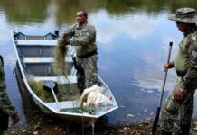 Operação Piracema apreende cerca de dois mil metros de rede de pesca no Piauí