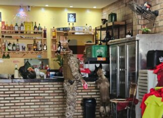 Polícia cumpre mandado de busca e apreensão em bar na cidade de Esperantina