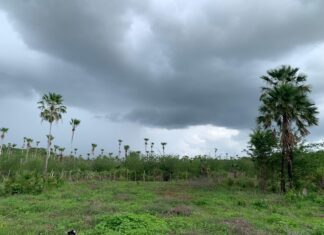 Chuvas intensas devem atingir várias regiões do Piauí neste fim de semana, aponta Semarh