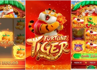 SSP cumpre mandados contra influenciadoras suspeitas de jogos ilegais e bloqueia mais de R$ 2 milhões no litoral do Piauí