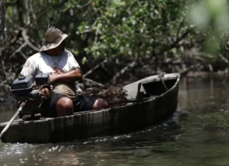 INSS paga em julho R$ 874 milhões a 149,5 mil pescadores